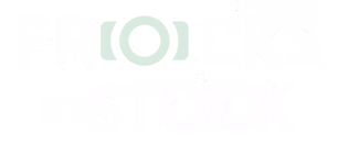 Frocks in Stock logo